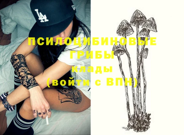 дмт Дмитриев