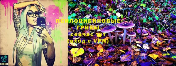 дмт Дмитриев