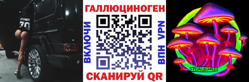 Купить закладки  Можайск  Псилоцибиновые грибы мицелий 